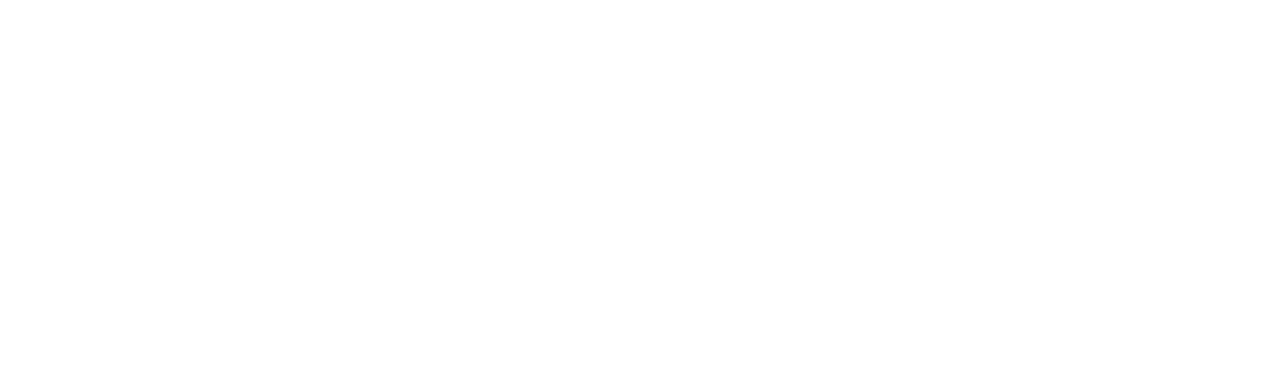 South System